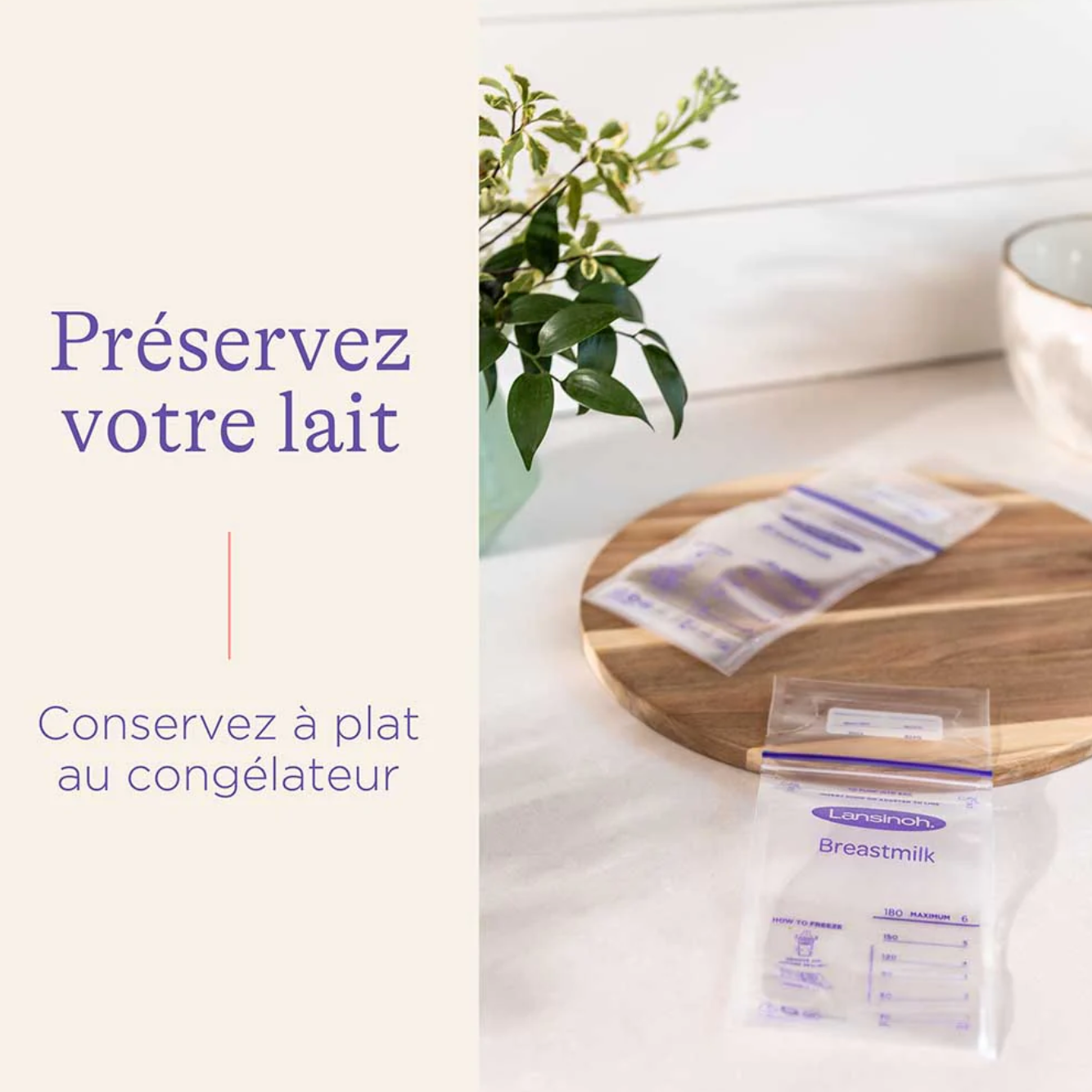 Babylab-Lansinoh-sachet de conservation X25 - 1