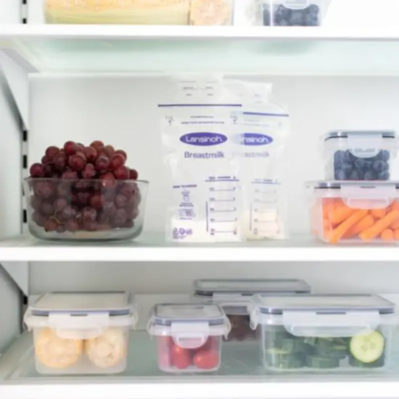 Babylab-Lansinoh-sachet de conservation X25 - 7