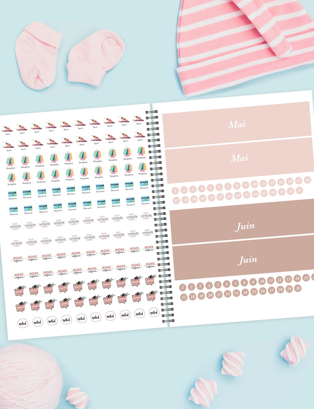 babylab-family organizerMy-pregnancy-planner1